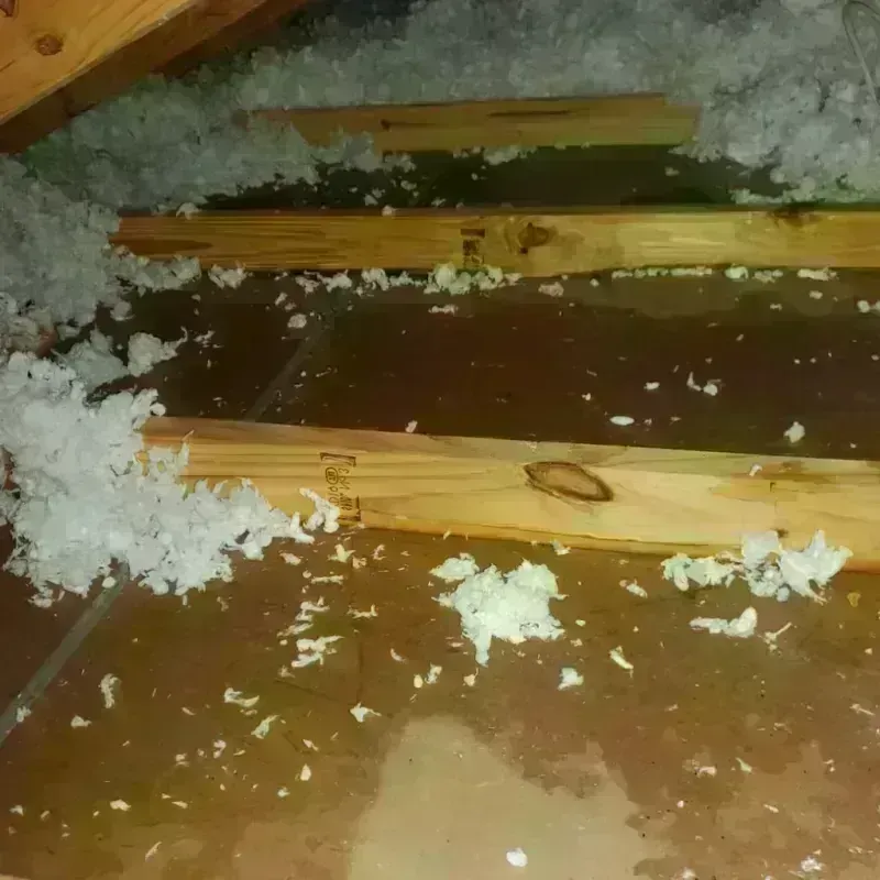 Attic Water Damage in East Lake-Orient Park, FL